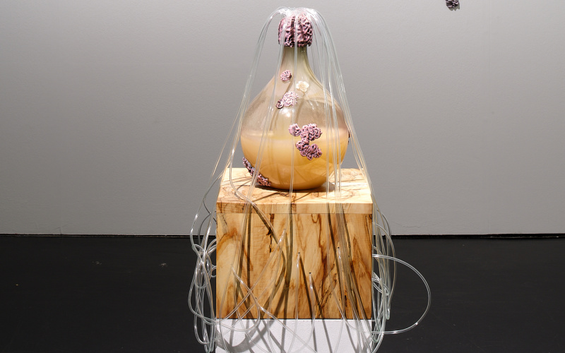 Man sieht das Werk »Fermenting Futures«. In der Mitte befindet sich ein Glasbehältnis, gefüllt mit einer Flüssigkeit. An dem Glas sind organische Objekte befestigt. Aus der Öffnung führen mehrere Schläuche.