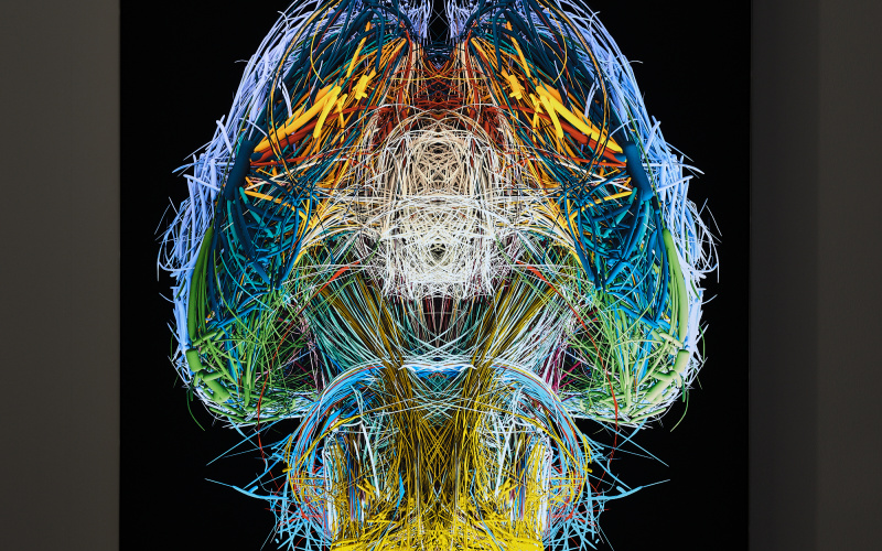 »The Mouse Connectome« vom BarabásiLab. Zu sehen sind unzählige, verschiedenfarbige Linien. Diese formen sich zu einer pilzförmigen Figur. Der Hintergrund ist schwarz.