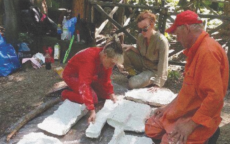 Scientists at an excavation site