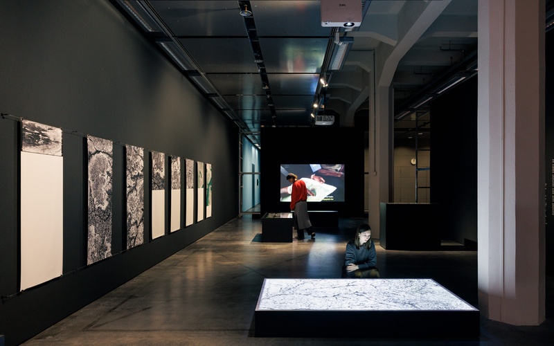 The picture shows a constellation of works by Paulo Tavares.
