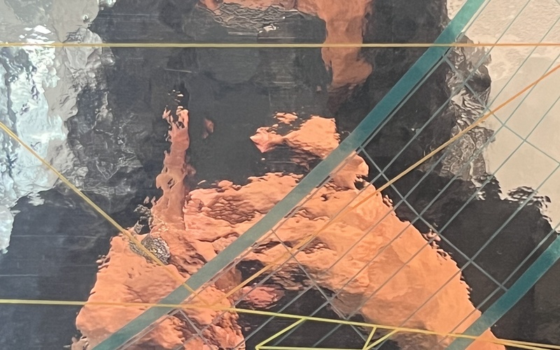 The picture shows a distorted portrait photo of a person.
