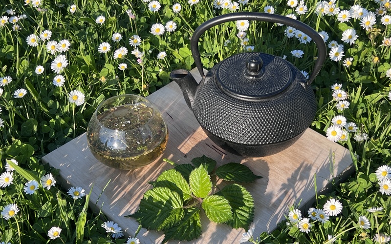 Tee und Teekanne auf einer Wiese mit Gänseblümchen