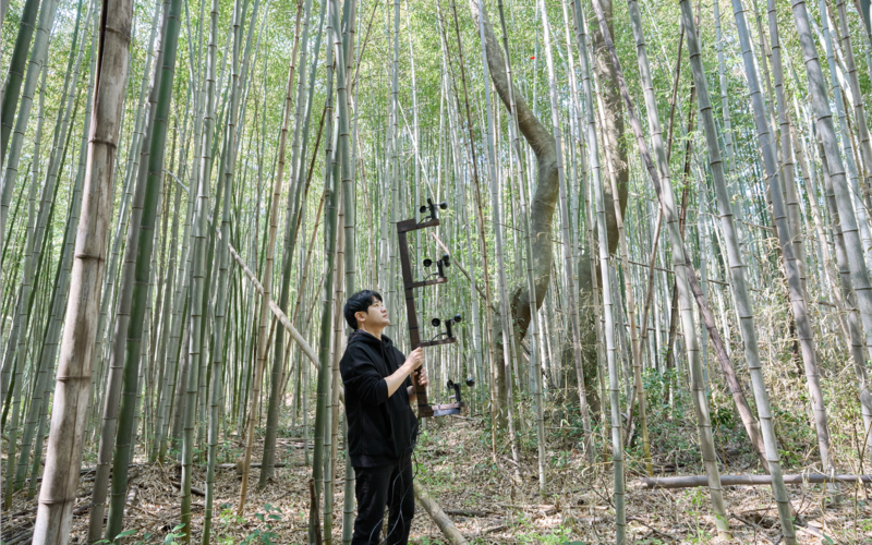 A person stands in the forest during a performance with a 4-channel wind sampling device.
