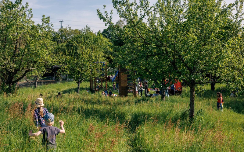 Personen auf einer grünen Streuobstwiese