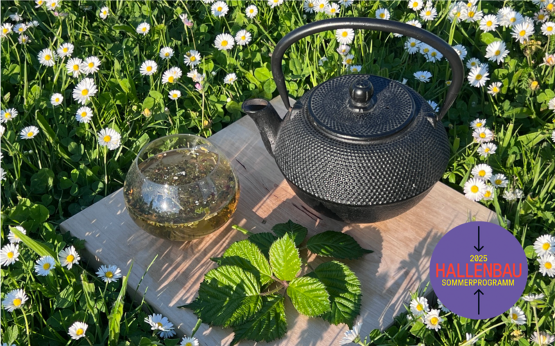 Tee und Teekanne auf einer Wiese mit Gänseblümchen