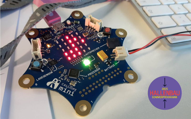 Microcontroller Calliope Mini