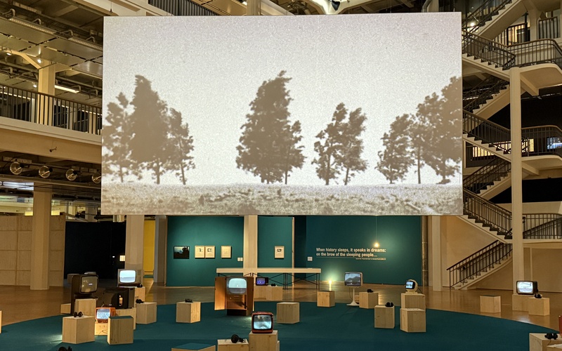 A video projection with trees by the artist Johan Grimonprez.