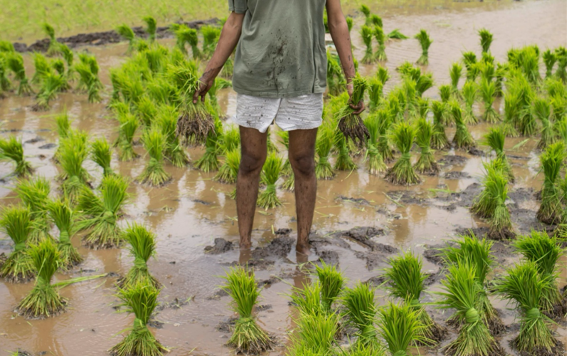 A portrait photo of a person in nature.