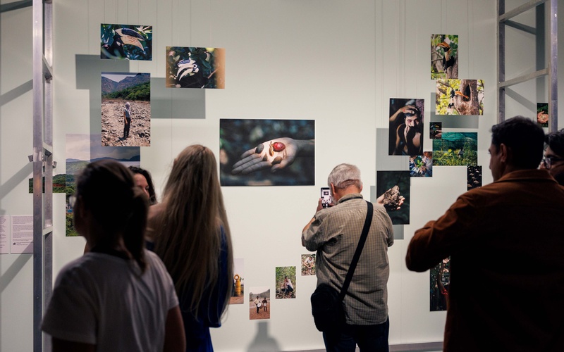 Blick in die Ausstellung ZKM Assembling Grounds