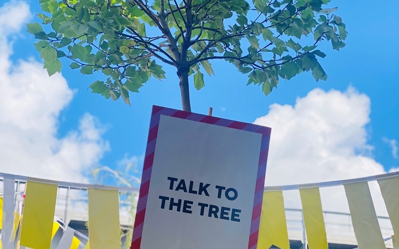 Talk to the tree