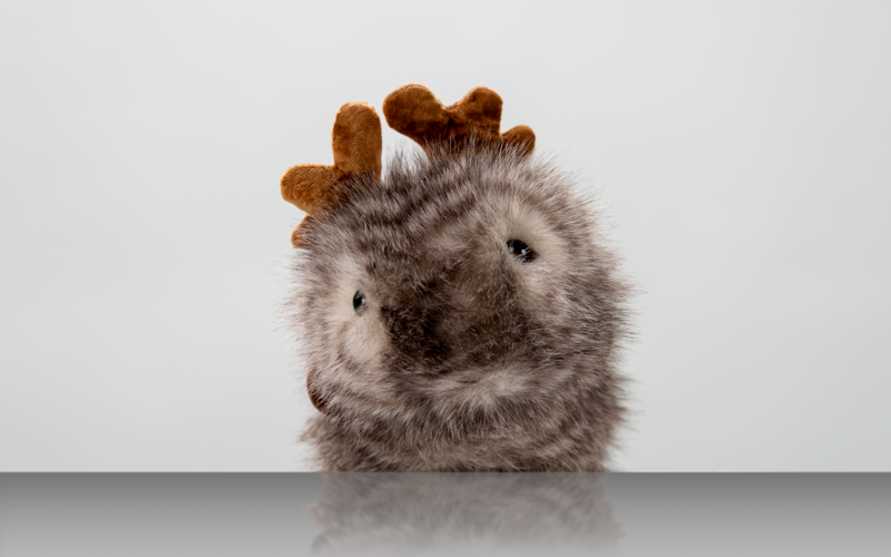 Porträt eines Kuscheltiers vor weißem Hintergrund.