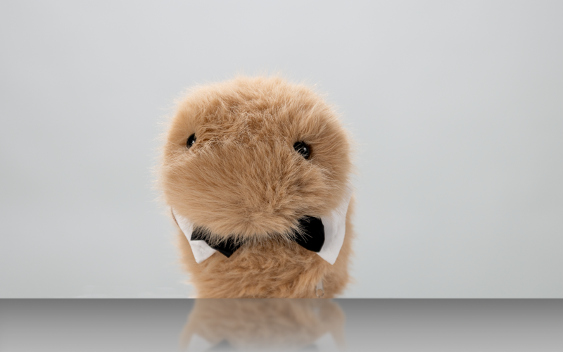 Porträt eines Kuscheltiers vor weißem Hintergrund.