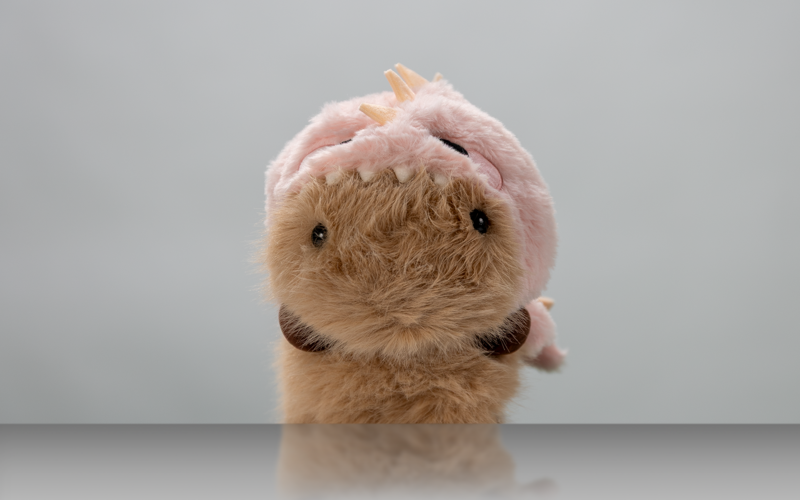 Porträt eines Kuscheltiers vor weißem Hintergrund.