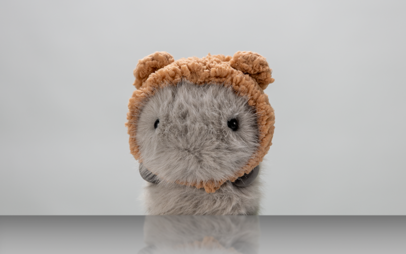 Porträt eines Kuscheltiers vor weißem Hintergrund.