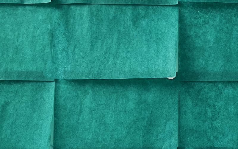 Cover of the publication Sung Hwan Kim. Protected by roof and right-hand muscles. The image shows an excerpt from one of the artist's works featuring numerous green sticky notes attached to a wall.