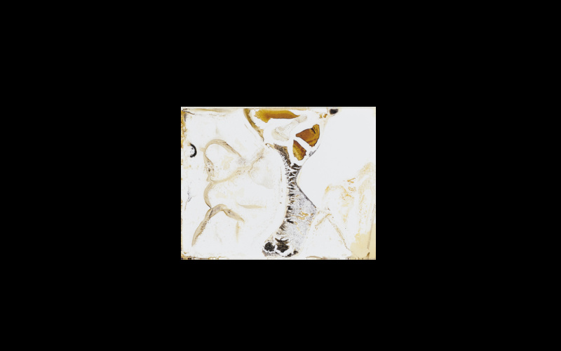 Signa. Monte Carlo, Monaco. Le Casino