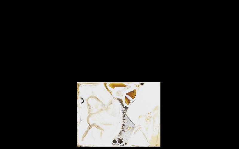 Signa. Monte Carlo, Monaco. Le Casino