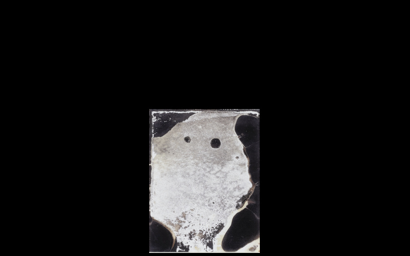 Signa. Strasbourg, France. Strasbourg Cathedral