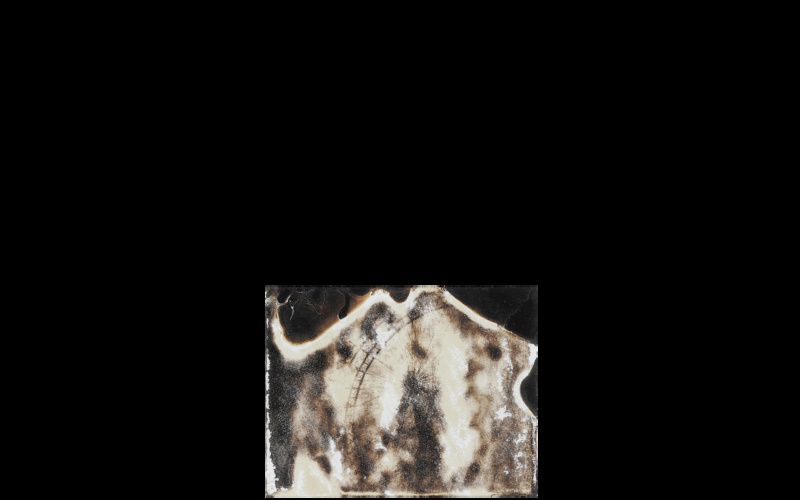 Signa. Vienna, Austria. Prater, Giant Wheel