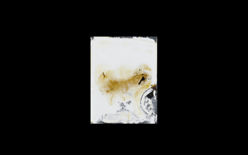 Signa. Osaka, Japan. Osaka Castle