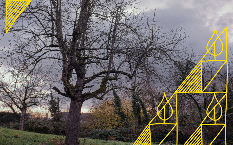 Gurama: A Textile-Tea-Ceremony on the Orchard