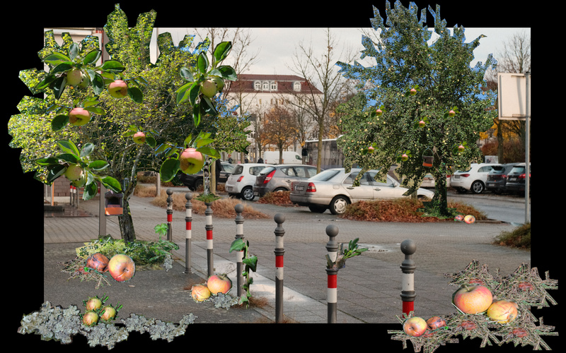 Zu sehen ist eine Fotocollage von einer Straße mit Apfelbäumen auf schwarzem Hintergrund.