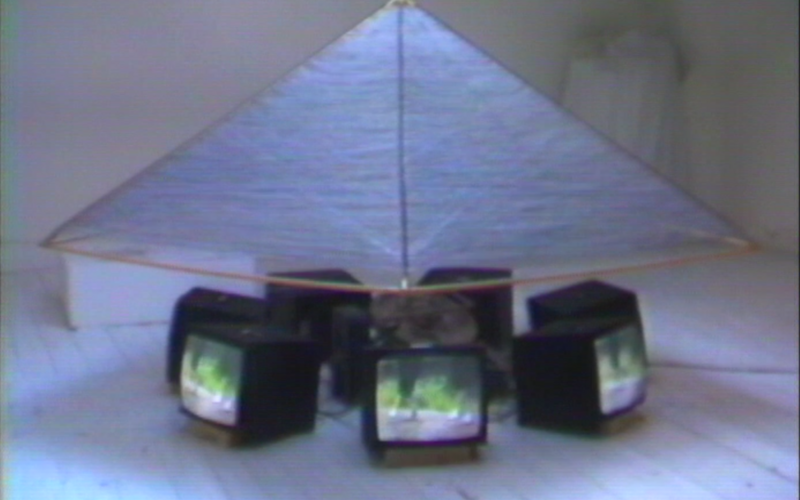 Bernhardt, Videostill, Archiv