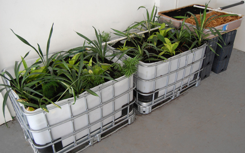 Two large containers with green plants in them can be seen. 