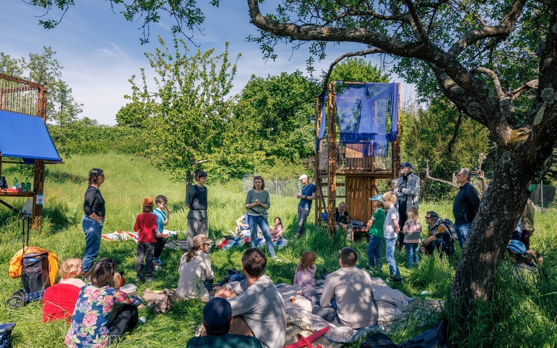 Kinder und Erwachsene auf einer Wiese mit Bäumen.  