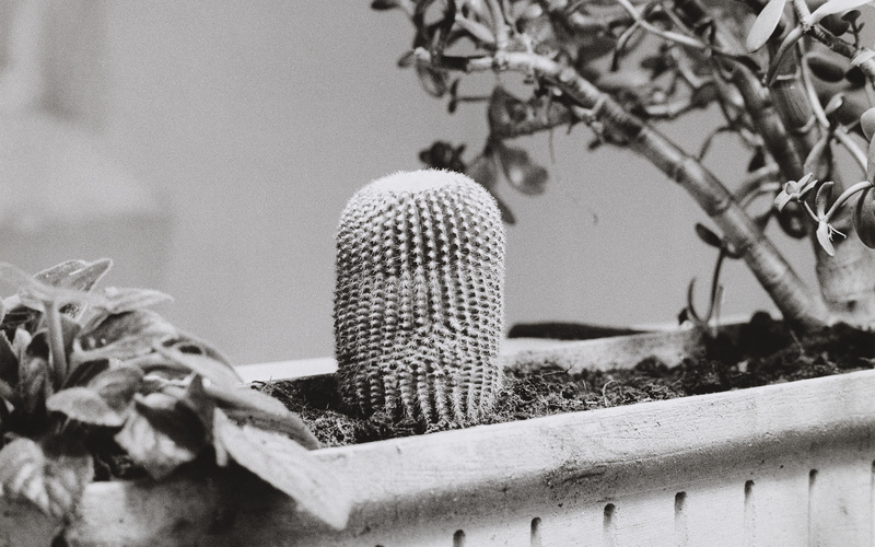 Während der Dreharbeiten zu Ger van Elks Beitrag für ›IDENTIFICATIONS‹ (II. Fernsehausstellung der Fernsehgalerie Gerry Schum), 1970