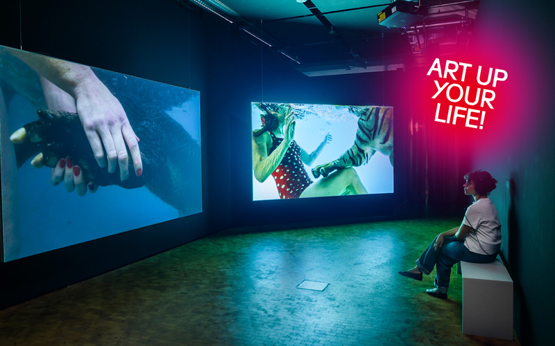 A human hand and a tiger's paw touch underwater.