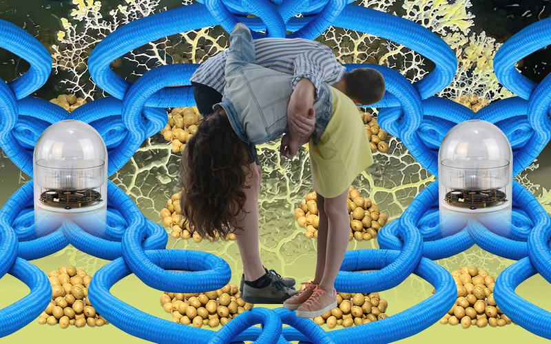 A collage featuring blue ropes, potatoes, and two people entwined.
