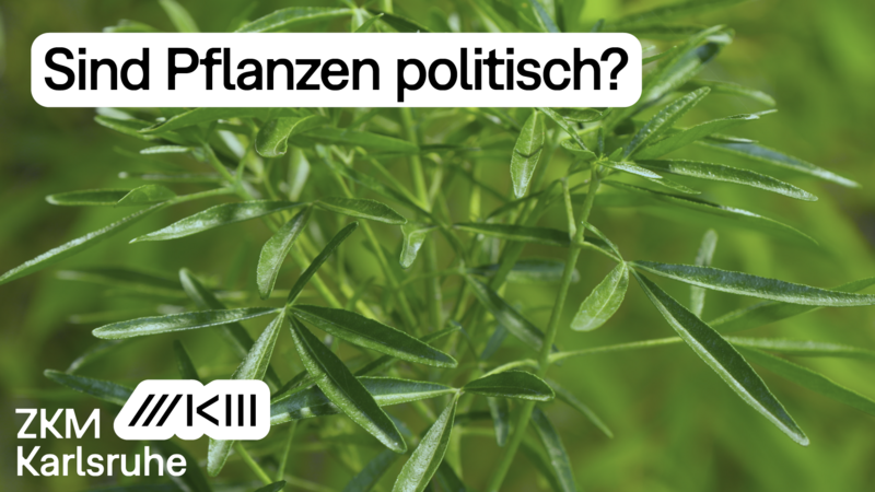 Sind Pflanzen politisch? Text auf einem Bild mit einer Grünpflanze.