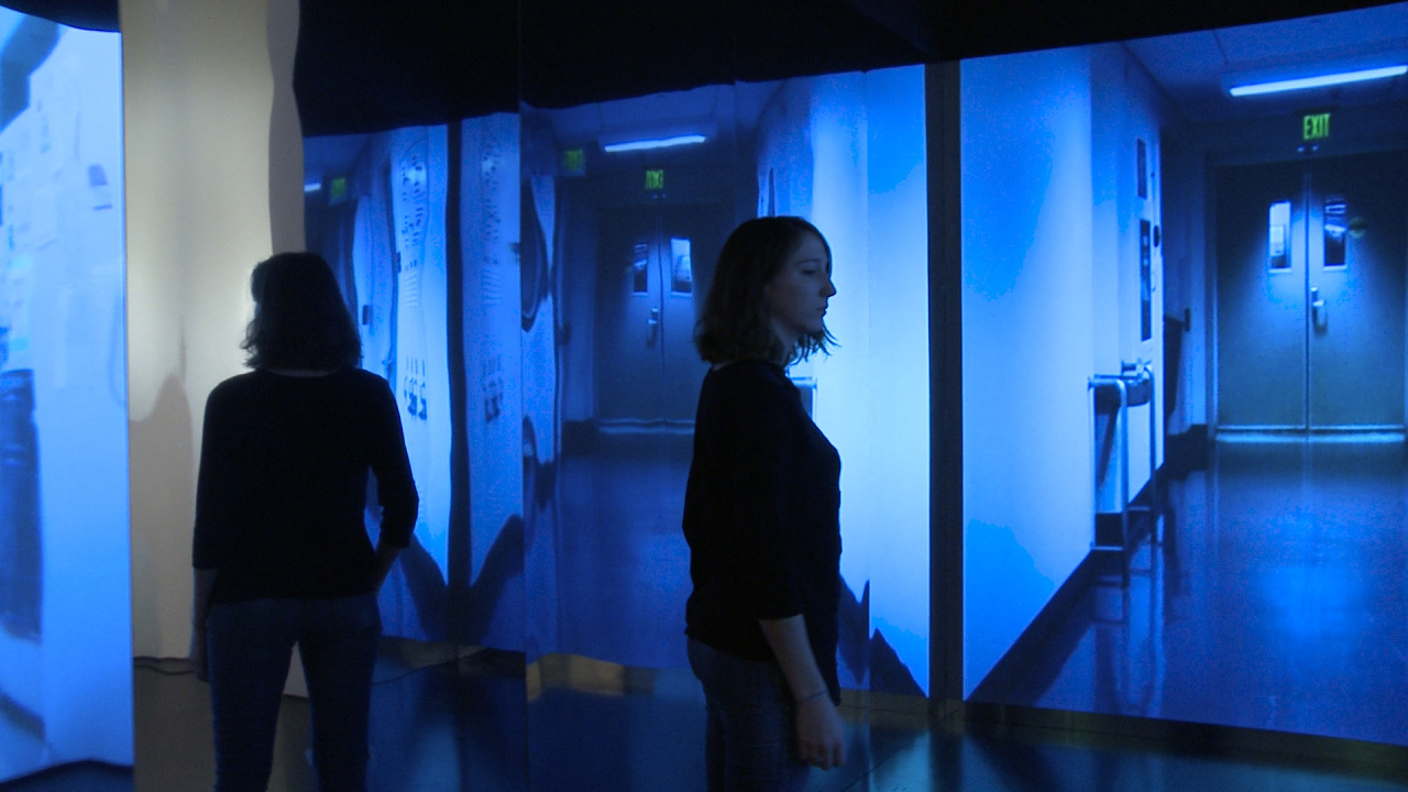 i5507_16_zkm_t_vh_cz_infinityengine_lynn_hershman_leeson.jpg