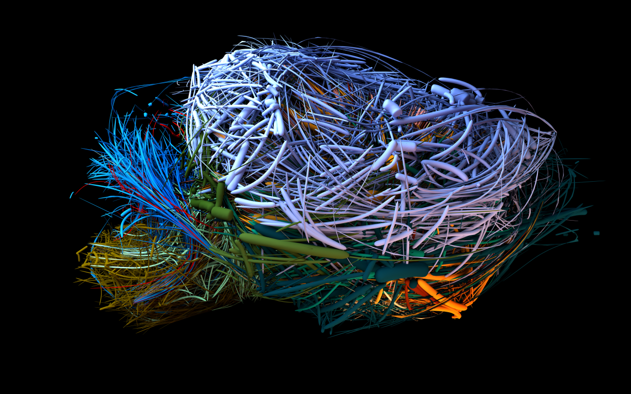i7204_21_zkm_r_pg_pm_biologischenetzwerke_.png