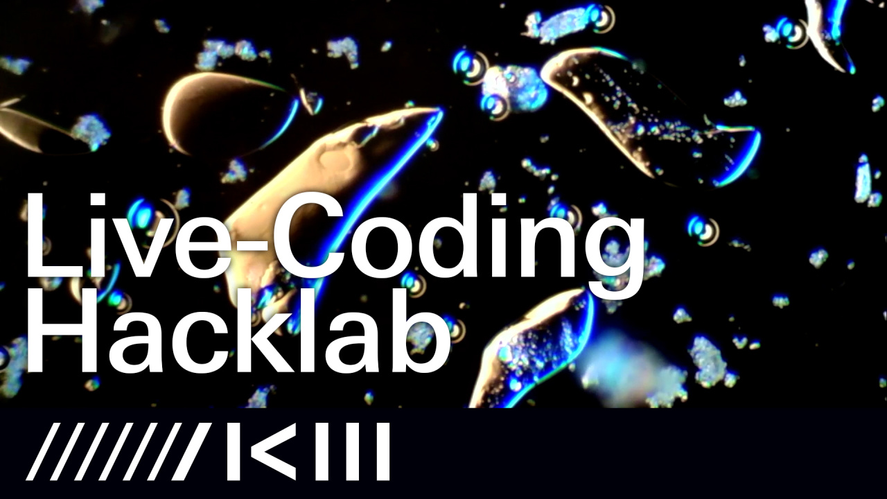 i7274_22_kub_p_vc_ak_onthefly_livecodinghacklab.jpg