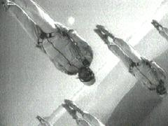 s017901.jpg