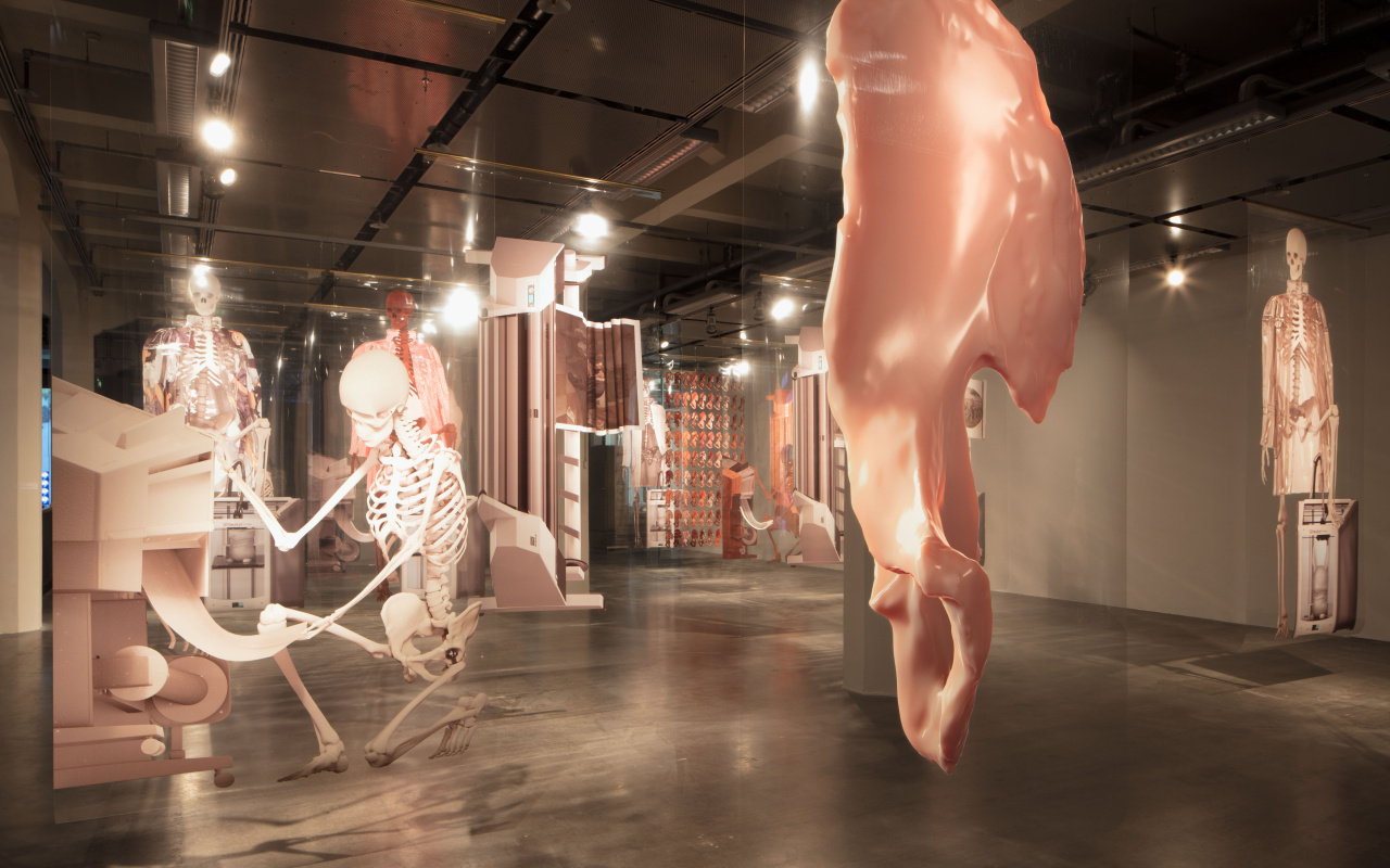In einem weitläufigen Ausstellungsraum hängen verschiedene Nachbildungen menschlicher Knochen.