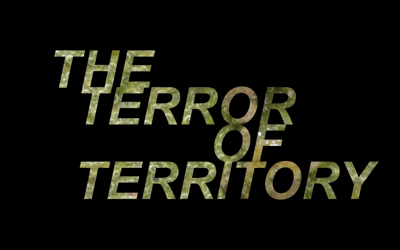 Rachel Libeskind, »THE TERROR OF TERRITORY«, 2021