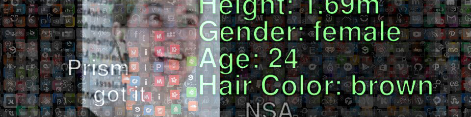The face of a young woman can be seen, overlapped by transparent icons. In green font are details such as gender, age and hair color next to her face. 