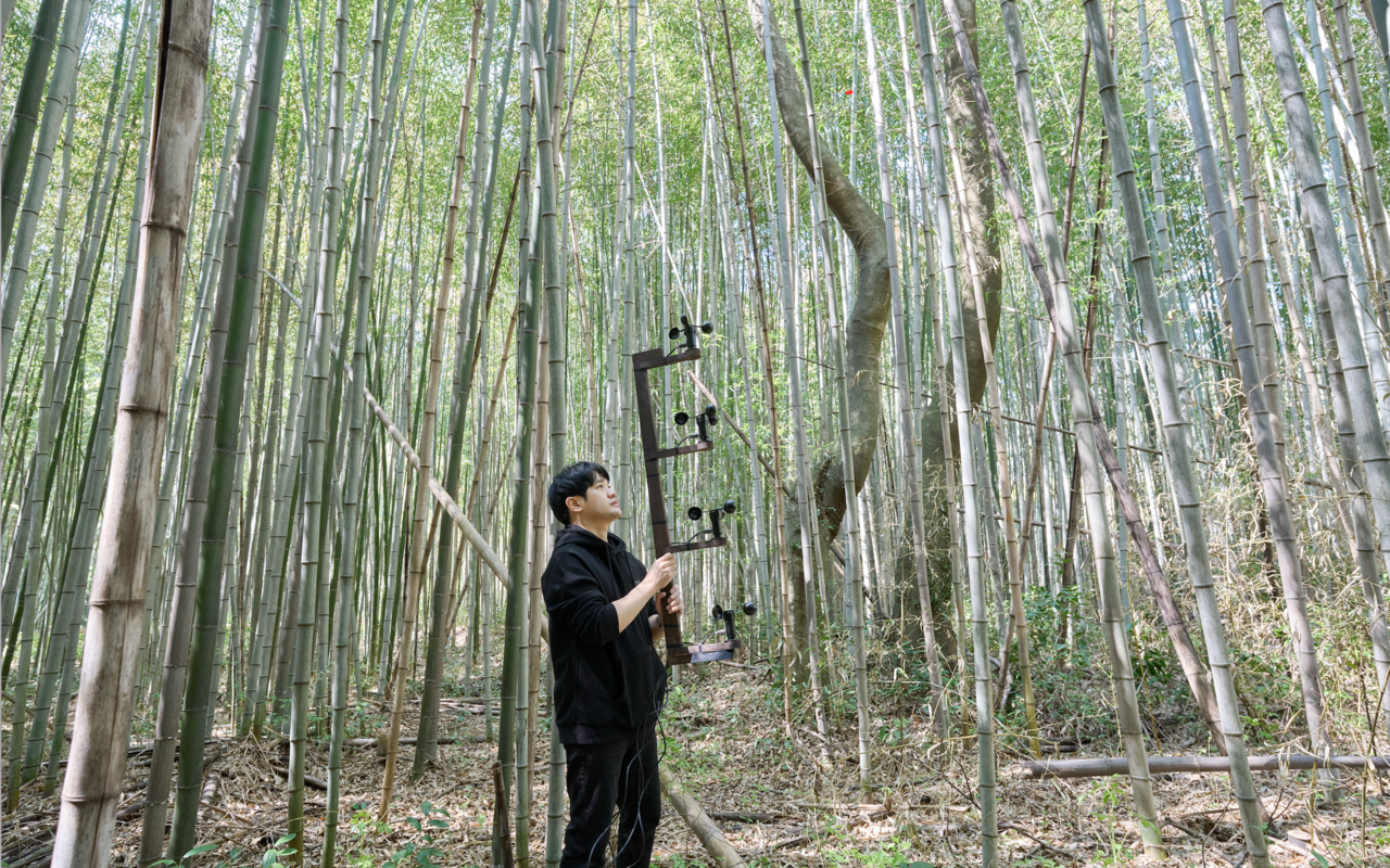 A person stands in the forest during a performance with a 4-channel wind sampling device.