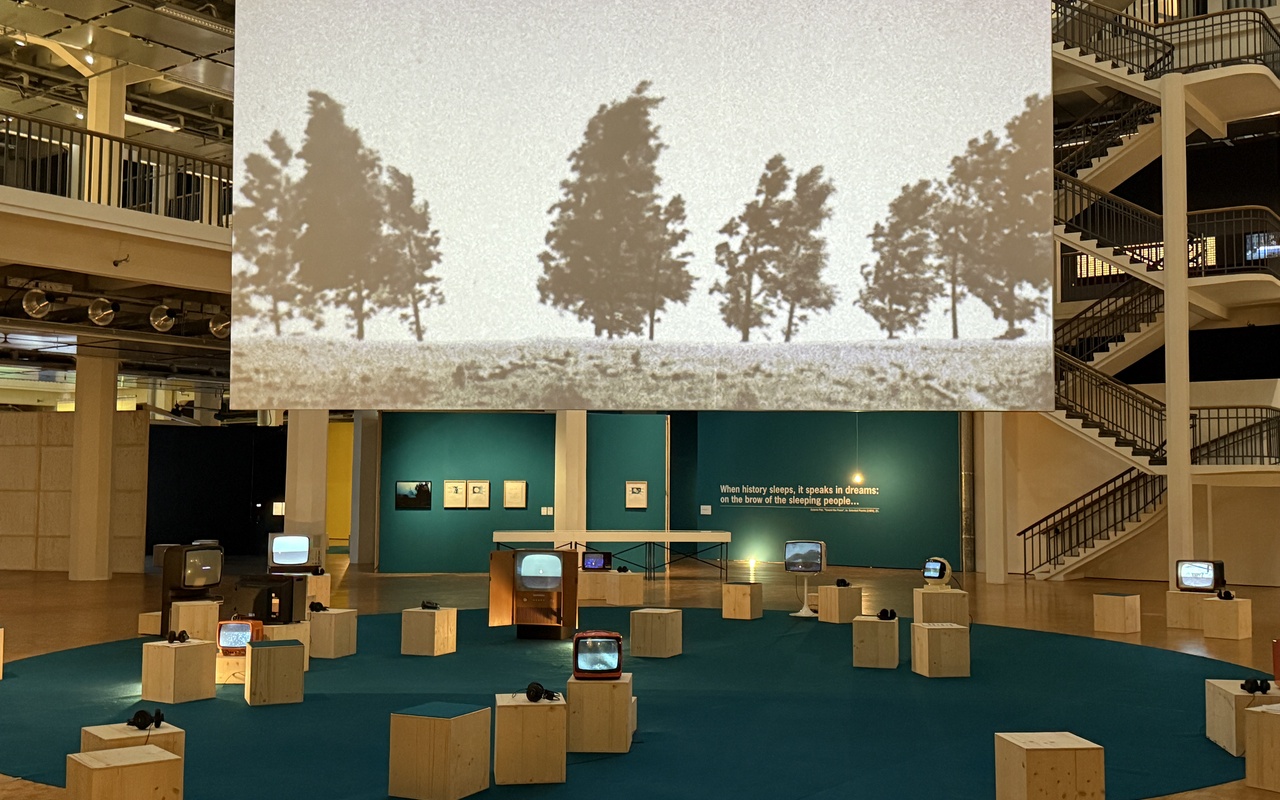 A video projection with trees by the artist Johan Grimonprez.