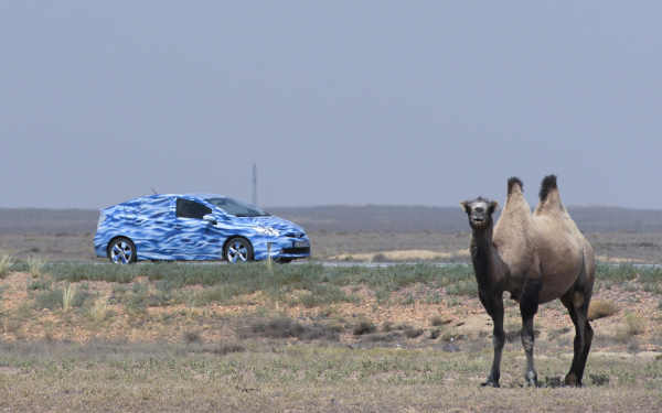 Ein blaues Auto und ein Kamel