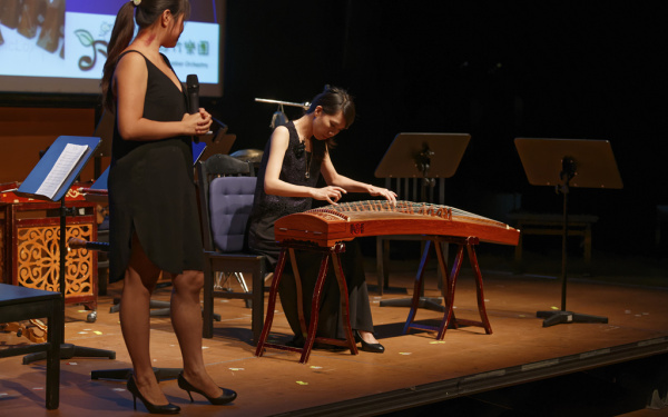 A woman at a plucked instrument