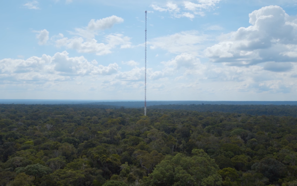 Zu sehen ist ein sehr hoher Turm aus einem Stahlgerüst, der aus dem Amazonas empor ragt.