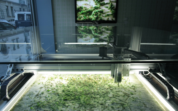 Machine produces algae