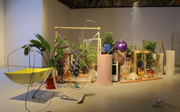 The photo shows an installation of plants and assembled objects. 