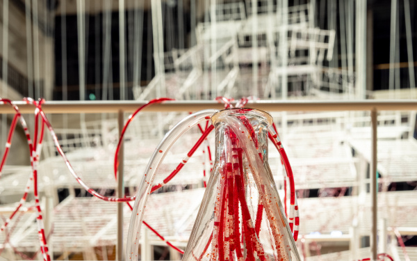 Ausschnitt von Chiharu Shiotas »Connected to Life«. Zu sehen ist ein gläserner, trichterförmiger Behälter, gefüllt mit roter Flüssigkeit und aus ihm herausragenden Schläuchen.
