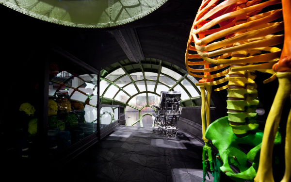 You can see a colorful skeleton in the right part of the picture, standing in a round, dark room. Behind him the room opens into a window front consisting of many small windows. On the left side of the picture there is a showcase with colorful skulls. 
