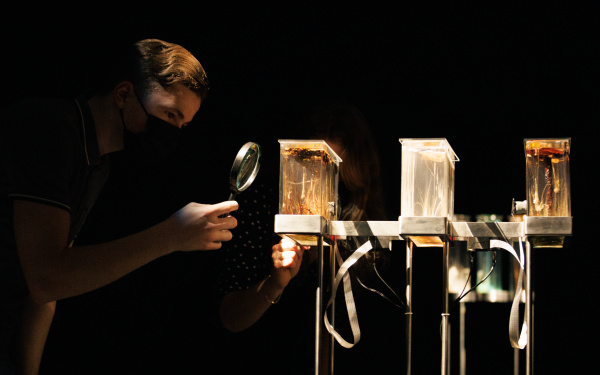 Ein Mann betrachtet mit einer Lupe die generative chemische Audioinstallation von Robertina Šebjanič, Zergon (Aleš Hieng), Ida Hiršenfelder